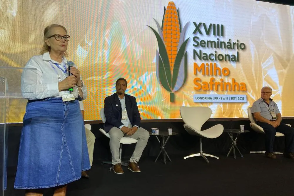 Londrina recebe seminário nacional de milho safrinha; responsável por 80% da produção Foto: IDR-PR