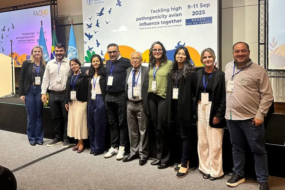 Paraná debate prevenção da gripe aviária em encontro com órgãos internacionais Foto: Adapar