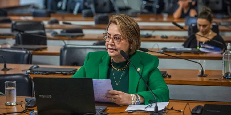 Senadora Jussara Lima apresenta parecer favorável a projeto que prioriza agricultoras familiares na Reforma Agrária. Foto assessoria