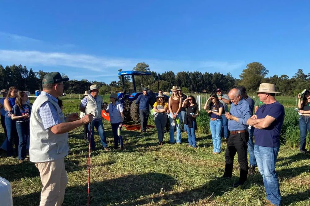 Integração lavoura-pecuária é destaque da II Mostra Tecnológica Fazenda-Modelo, em Ponta Grossa. Foto: IDR