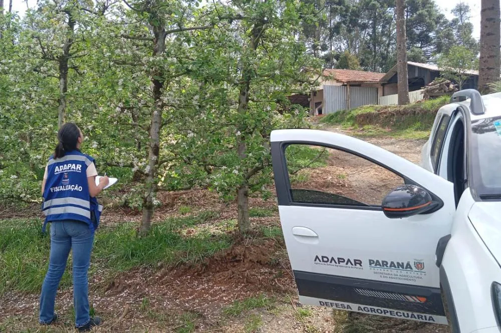 Adapar anuncia concurso com 57 vagas para fiscal e assistente de fiscalização; salários vão até R$ 8.463,20 Foto: ADAPAR