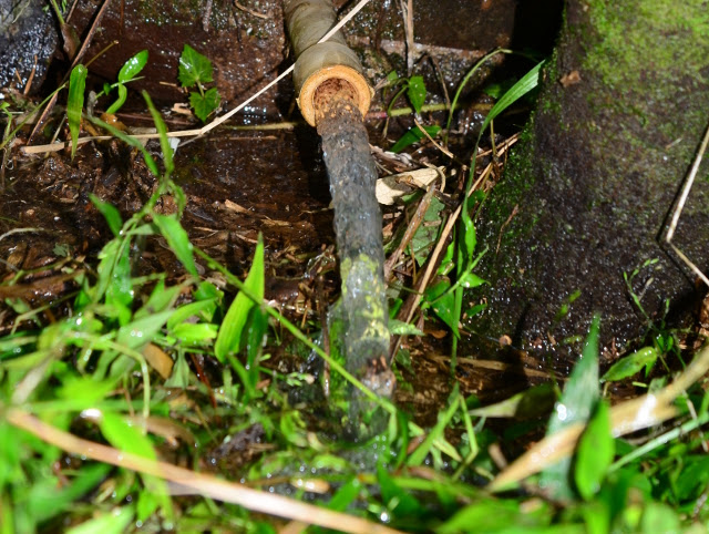 Proteção de fonte modelo Caxambu fornece água pura para a propriedade rural
