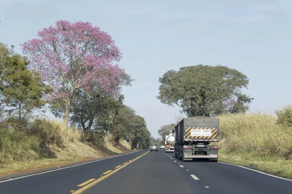 EPR Litoral Pioneiro recebe licença ambiental para projeto de duplicação da BR-153. Foto Divulgação