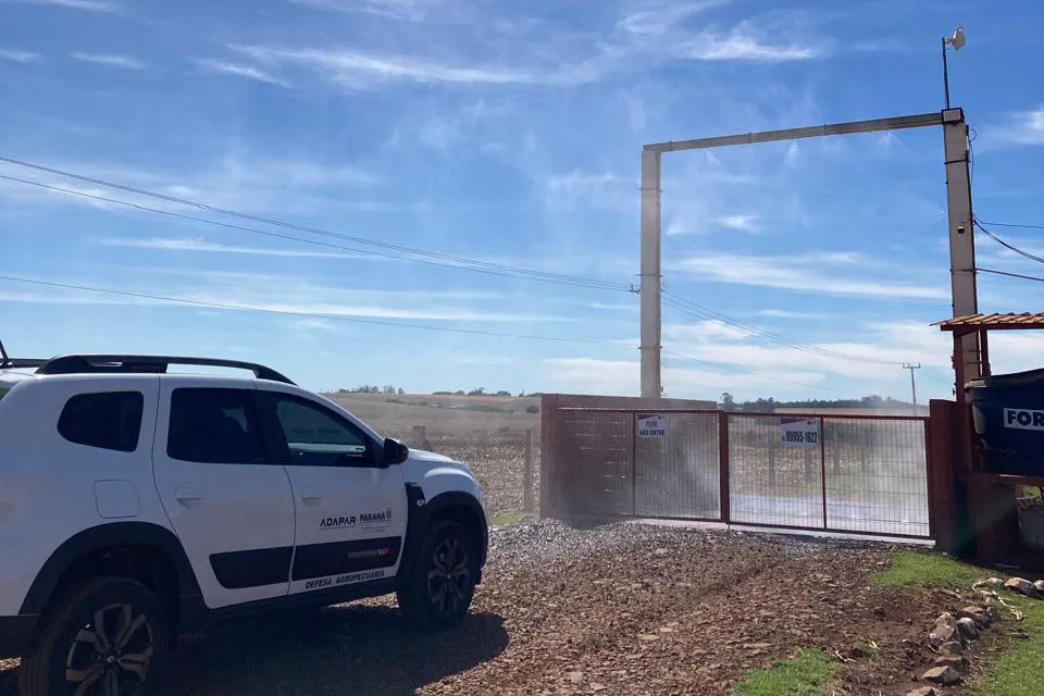 Agenda anual: Adapar promove ações de biosseguridade em granjas de todo o Paraná Foto: Adapar