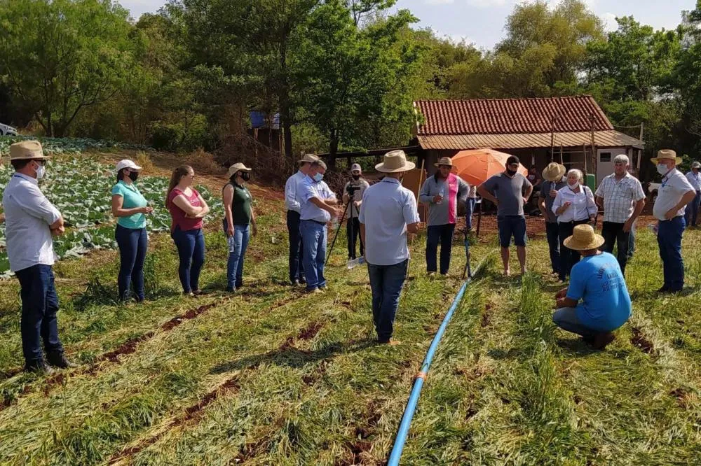 IDR-Paraná abre inscrições para Processo Seletivo Simplificado com 173 vagas em diversas áreas Foto: IDR