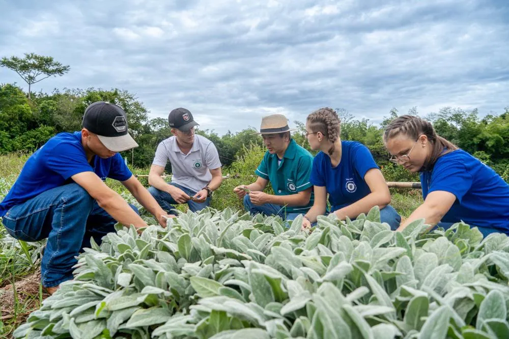 Paraná fortalece ensino agrícola com tecnologia, cursos técnicos e inovação aplicada Foto: Lucas Fermin/SEED