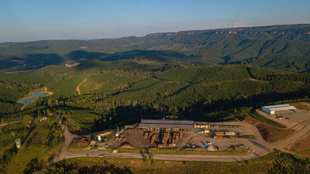 Produção de painéis CLT da Águia Florestal alia tecnologia e sustentabilidade na construção civil paranaense.