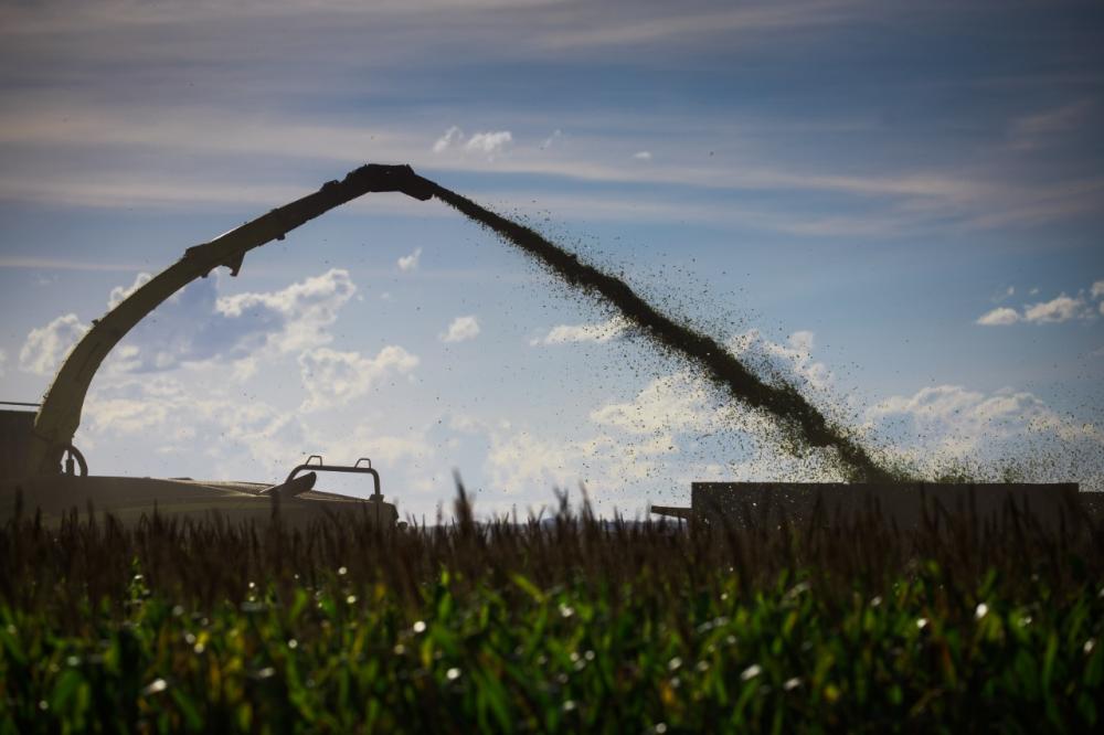 O grande vencedor foi o agricultor Euvanir Delefrati, de Sertanópolis-PR, com produtividade de 366,10 saças de milho por alqueire, com o híbrido AG 9000 PRO3.