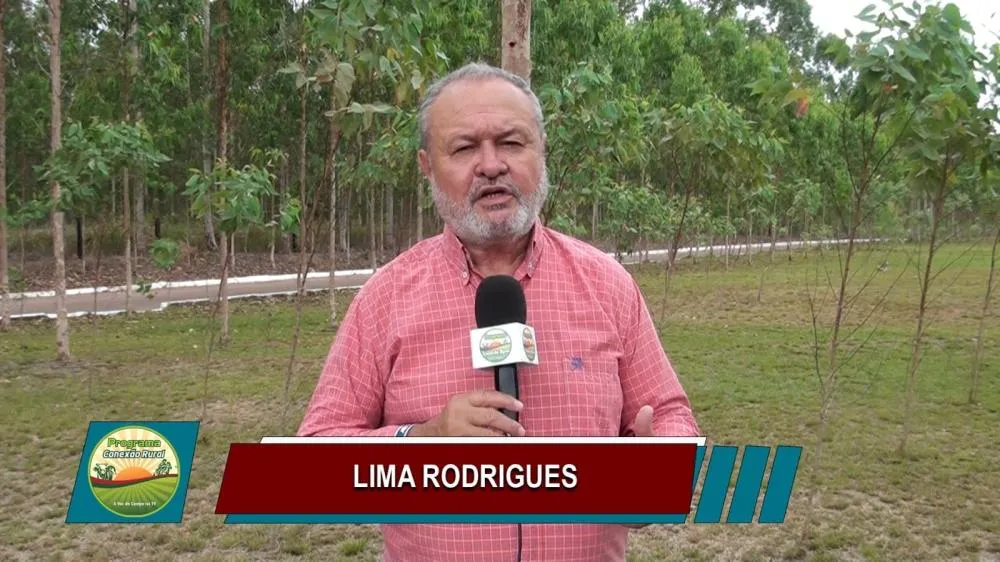 Jornalista Lima Rodrigues