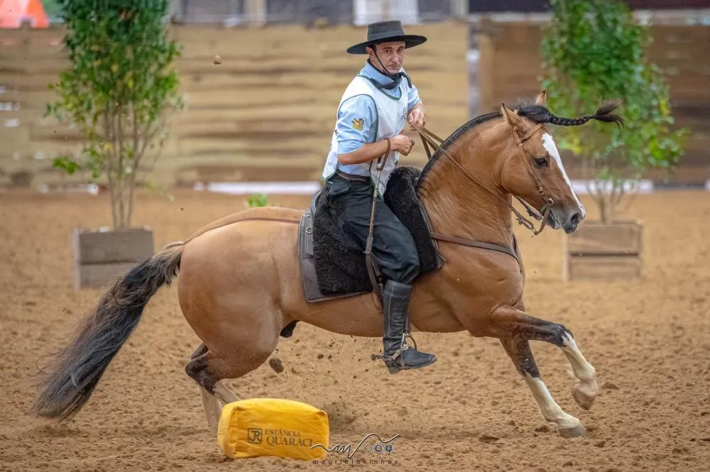  O Mundialito é uma Exposição Incentivo, voltada para potros e potrancas com até dois anos incompletos, divididos nas categorias Incentivo Menor e Incentivo Maior. Crédito da foto: Maurício Vinhas
