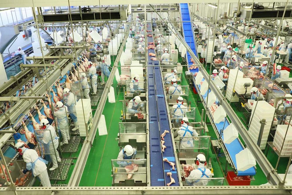 O estudo divulgado nesta quarta-feira (9) aponta que a indústria do Paraná registrou crescimento em seis meses consecutivos depois de quedas de março e abril, período em que o setor sentiu de maneira mais severa os impactos da pandemia.