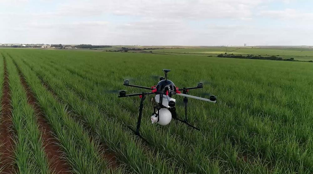 Objetivo da empresa é expandir o campo de atuação, para poder oferecer o melhor aos seus clientes e parceiros.