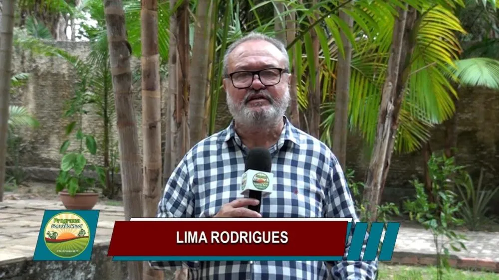 Jornalista Lima Rodrigues