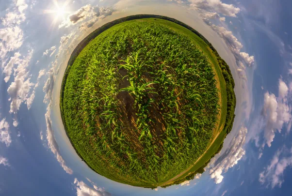 Embrapa lança glossário para jornalistas sobre mudanças climáticas. Foto Embrapa