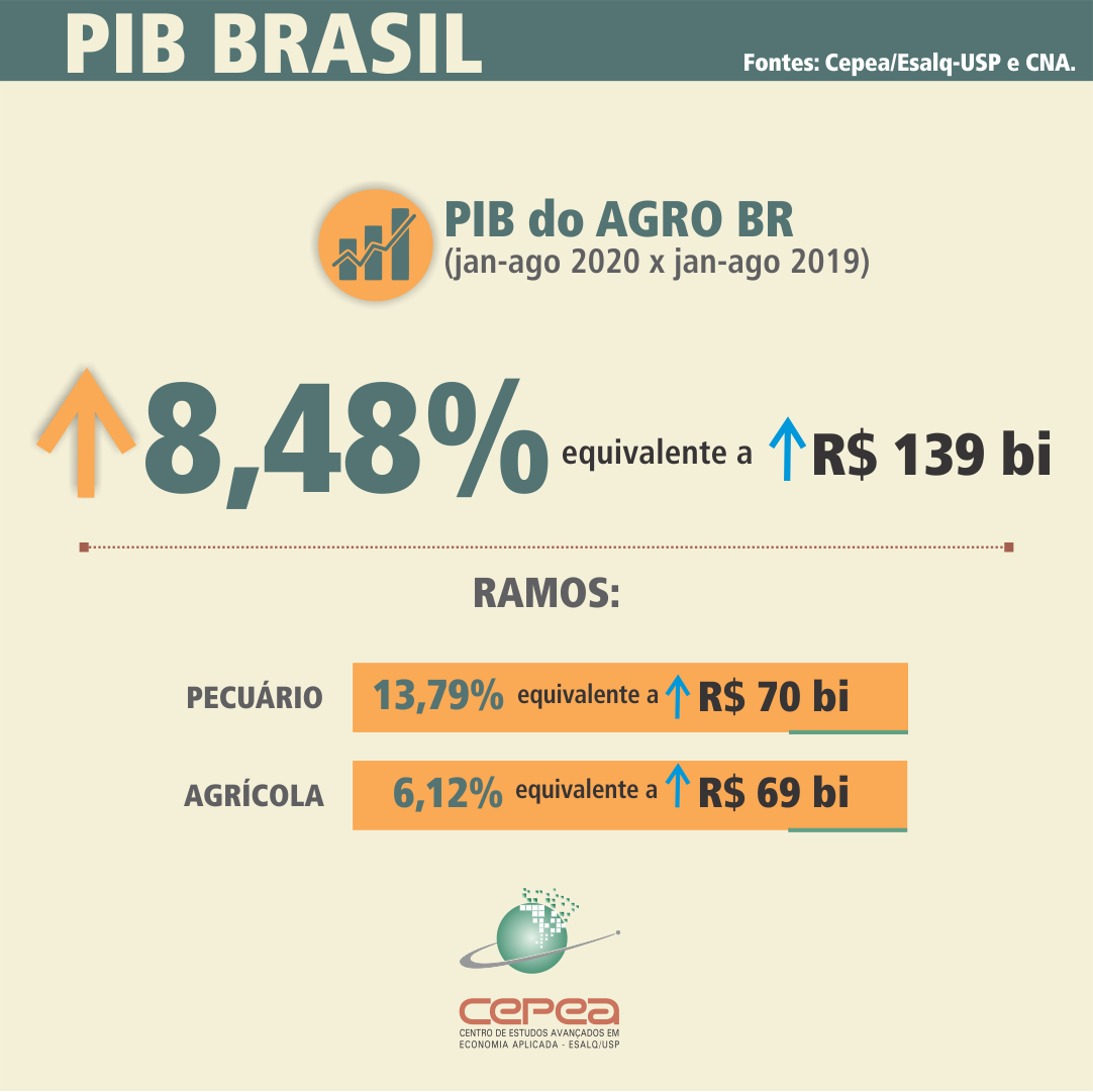 Pesquisadores do Cepea concluem que, de modo geral, apesar de a pandemia ter afetado negativamente o agronegócio em diferentes momentos do ano e particularmente setores específicos – como hortícolas, flores e leite e diversas agroindústrias –, o desempenh