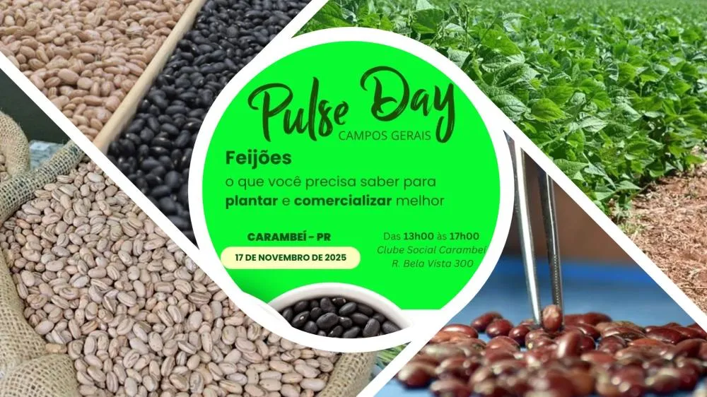 Produtores e especialistas se reúnem em Carambeí para debater o futuro do feijão no Brasil. Crédito da foto: Toninho Anhaia