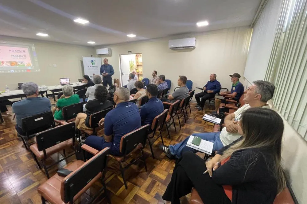 Adapar participa de encontro da Câmara Técnica da Sericicultura e reforça apoio ao setor Foto: Adapar