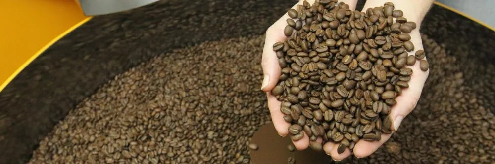 Concurso Café Qualidade Paraná vai eleger melhores grãos do Estado