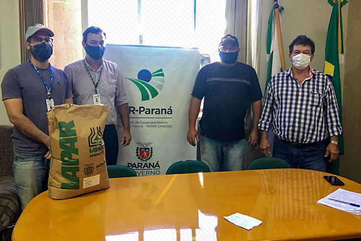 O engenheiro agrônomo do IDR-Paraná Lucas Travassos Déda explica que as sementes são variedades desenvolvidas pelo próprio instituto após anos de pesquisa. 