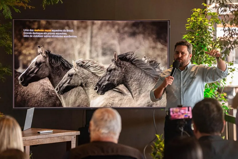 Cavalo Crioulo movimenta R$ 5,36 bilhões e emprega mais de 160 mil brasileiros Foto João Morais
