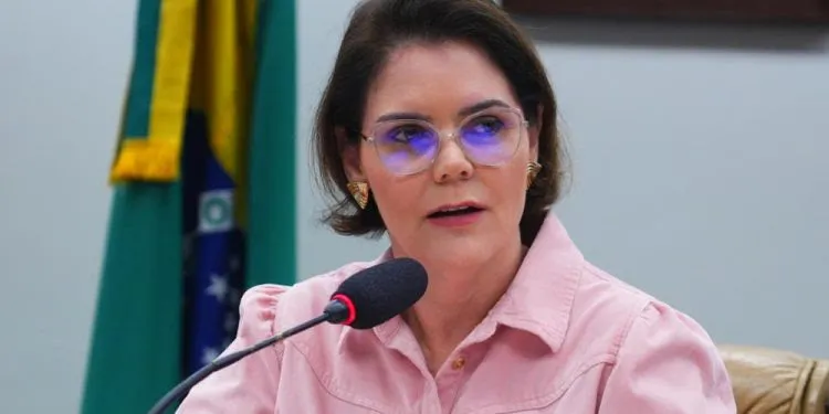 Coronel Fernanda apresenta parecer favorável ao porte rural de arma de fogo. Foto assessoria