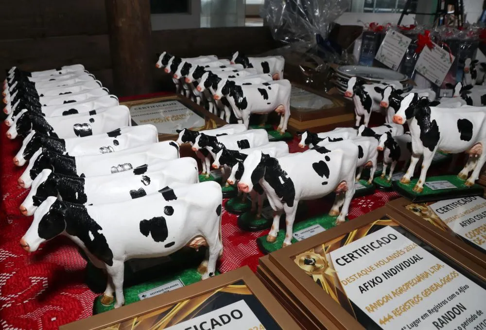 Destaque Holandês celebra dedicação e excelência da pecuária leiteira gaúcha em 2025 Foto: Cláudio Bergman/Divulgação