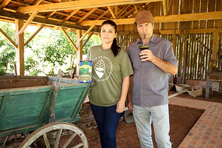 Base para o chimarrão, tererê (ou tereré dependendo da localidade) e chás, entre outros produtos, a erva-mate desempenhou papel significativo na história do Paraná e no Sul do País como um todo.Fotos: Ari Dias/AEN.