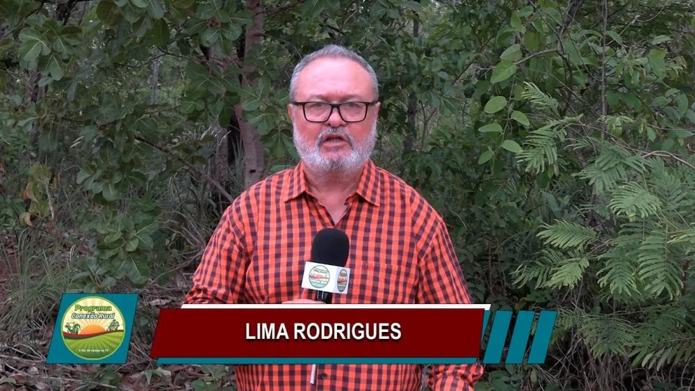 Jornalista Lima Rodrigues
