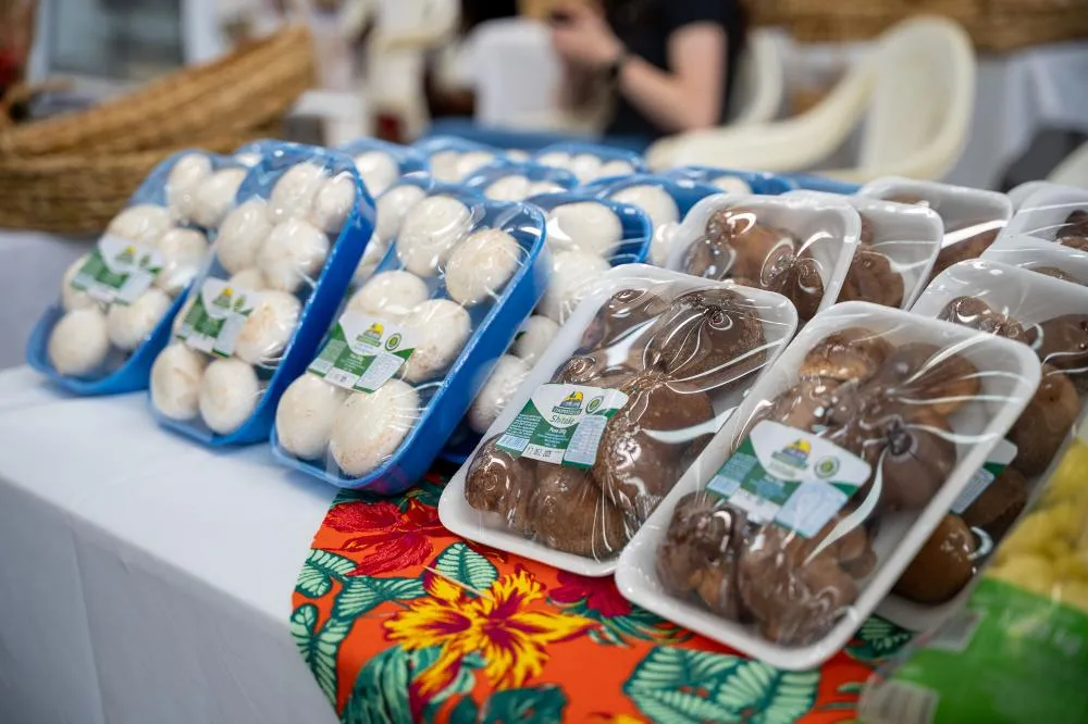 Com quase mil toneladas, Paraná dobra produção de cogumelos em dez anos Foto: Ricardo Ribeiro/AEN
