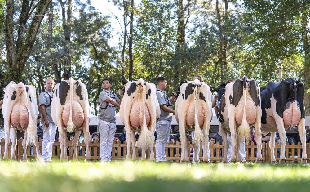 Cooperativa Capal realiza Expoleite 2026 nos dias 2 a 4 de julho Crédito: Giovana Santolin