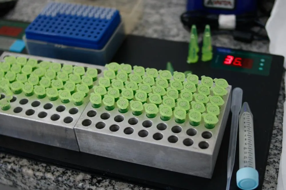 O papel da fertilidade na Inseminação Artificial