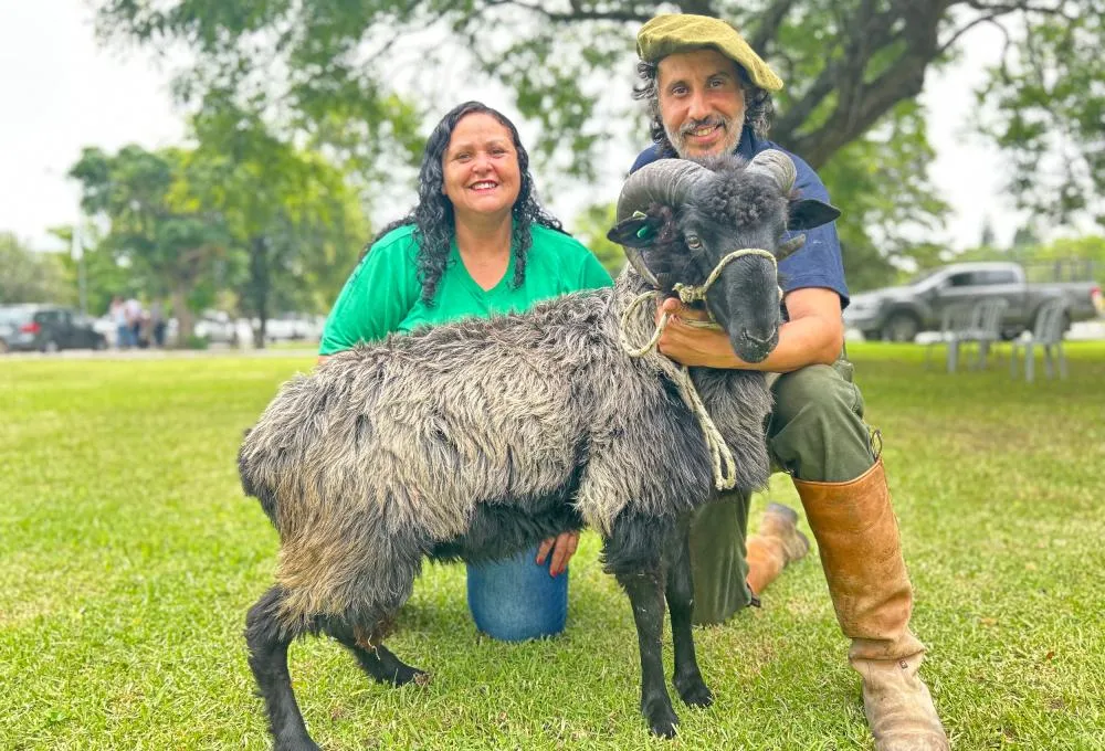 Casal do Paraná percorre 1,6 mil km para levar um carneiro da raça Crioula à Agrovino em Bagé