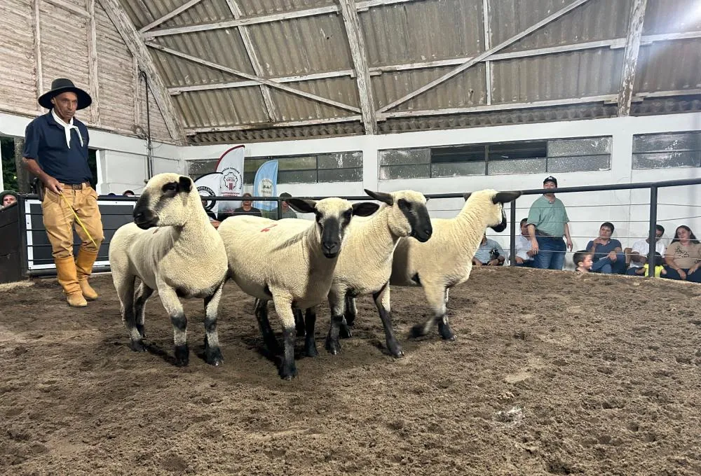 Agrovino fecha 18ª edição com R$ 1,416 milhão movimentados em negócios. Nestor Tipa Júnior/AgroEffective