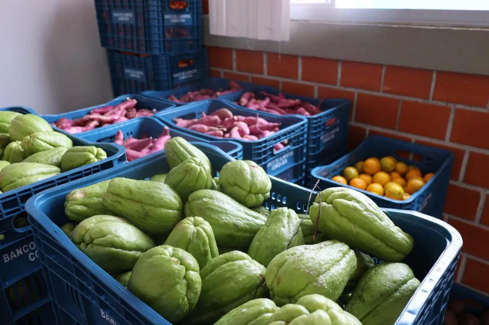 Aparência não é qualidade: O consumo de frutas e vegetais ‘feios’ ajudam a combater o desperdício de alimentos Foto: SEAB