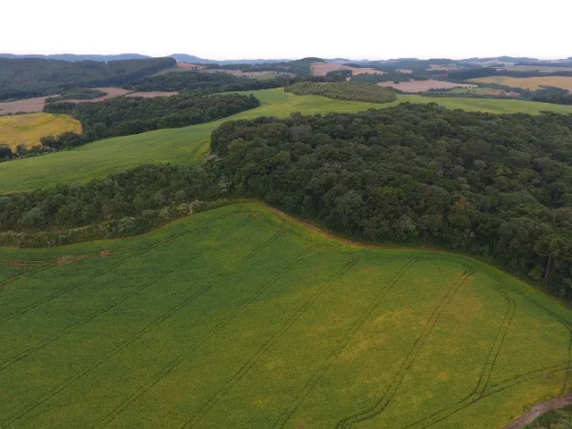 Mudanças climáticas, custos de produção e sustentabilidade ambiental são os maiores desafios da agropecuária (Foto: Jonatas Jumes/Epagri)
