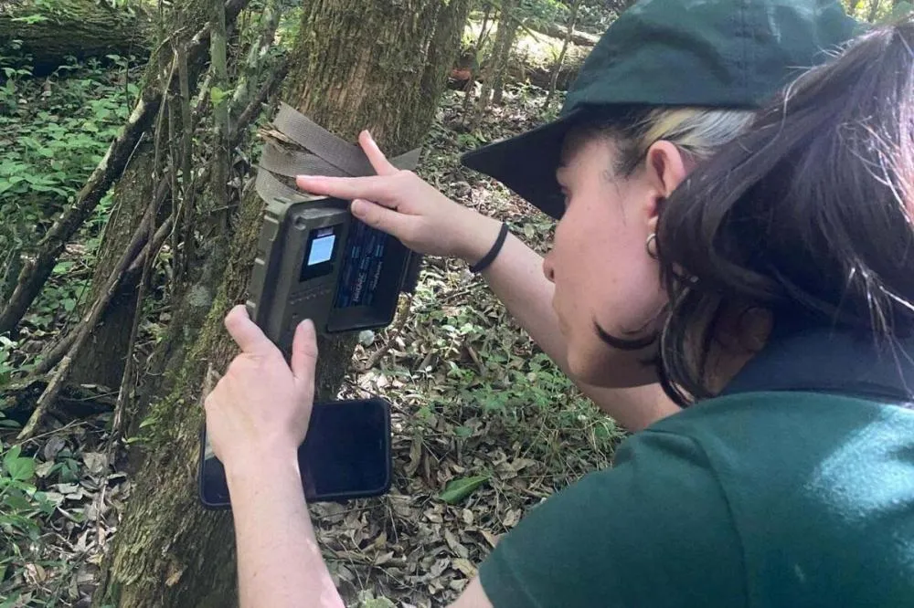 Pesquisa da Unicentro mapeia mamíferos silvestres em unidades de conservação Foto: Unicentro