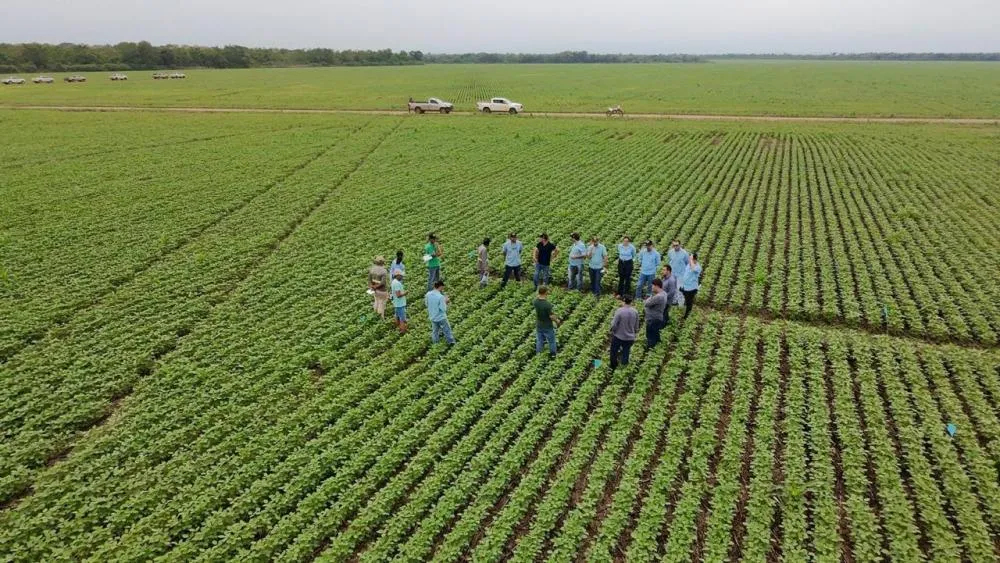 Sumitomo Chemical expande a Expedição da Produtividade e já alcança mais de 5 milhões de hectares visitados no BR Sumitomo Chemical.