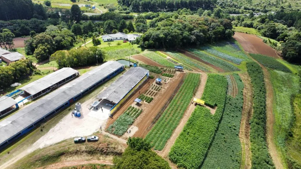 Produtores e técnicos acompanham demonstrações práticas durante o 1º Dia de Campo 100% Orgânico em Piraí do Sul. Foto Ecos 360º
