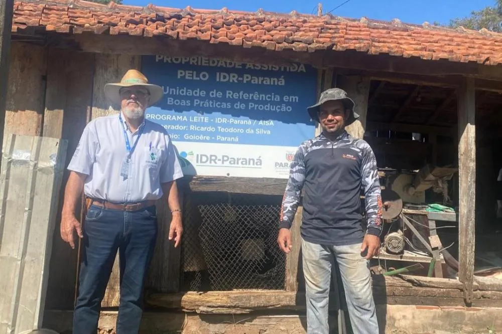 Melhorias do solo, pastagens e nutrição do rebanho fortalecem pecuária leiteira do Paraná Foto: SEAB