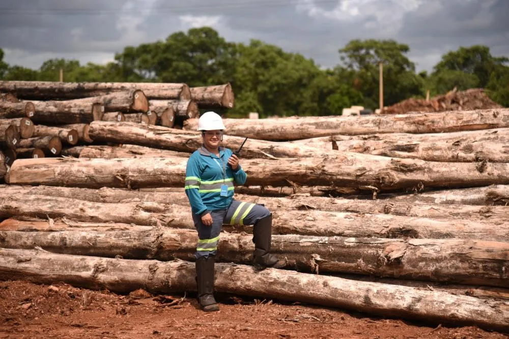 Recorde histórico no tratamento de cargas agrícolas e florestais no terminal de Rondonópolis