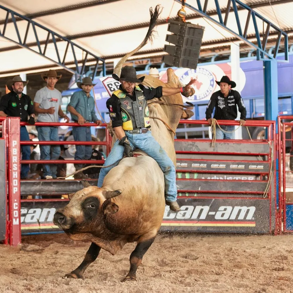 PBR Team series realiza seletiva no Brasil para contratar jovens talentos do esporte - PBR Combine Montaria 2 (Alberto Gonzaga)