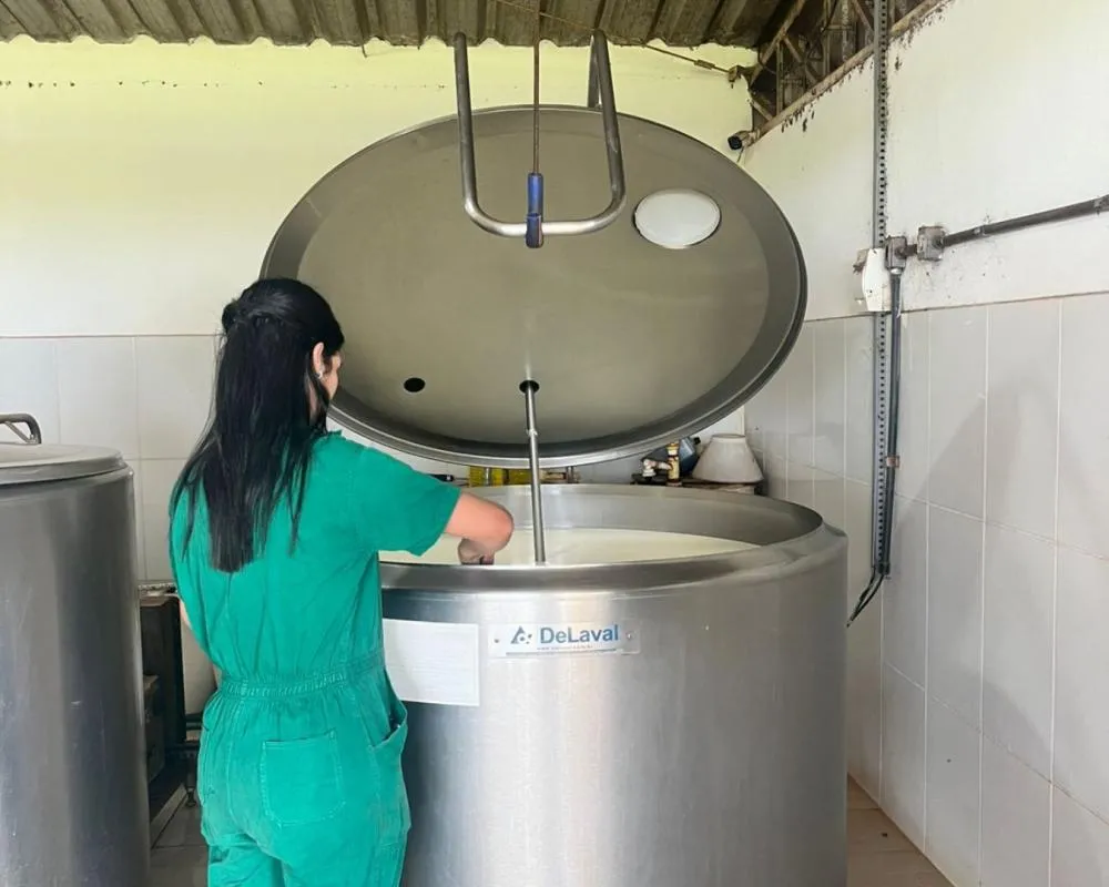 Do campo à mesa: pesquisa investiga uso de antibióticos em propriedades leiteiras de Minas Gerais. Fotos Fundecc/Equipe de pesquisa