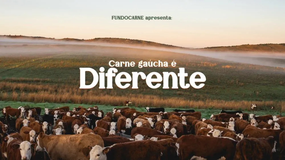 Fundocarne dá novos passos após lançamento de campanha