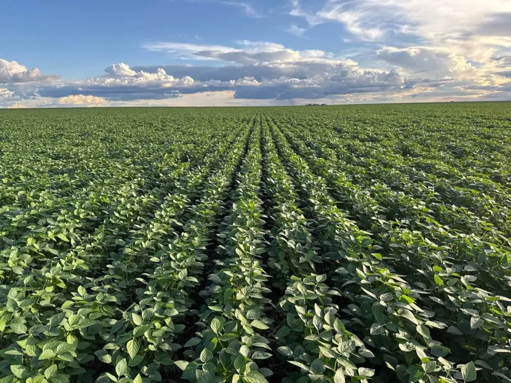 PI AgSciences e Agrícola Alvorada levam inovação e sustentabilidade para o Cerrado 