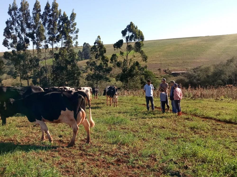 A mudança veio a partir da assistência técnica do Instituto de Desenvolvimento Rural do Paraná-Iapar-Emater (IDR-Paraná).