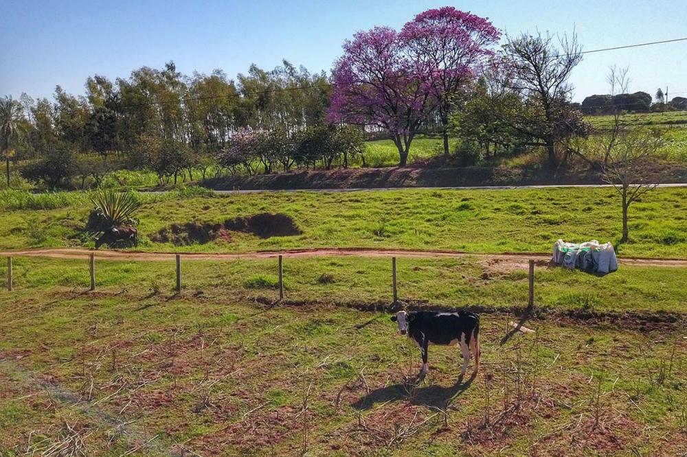 O Programa de Regularização Fundiária trabalha com resultados políticos e econômicos. Com o registro de propriedade e número de matrícula do imóvel é possível ampliar os horizontes do lavrador. 