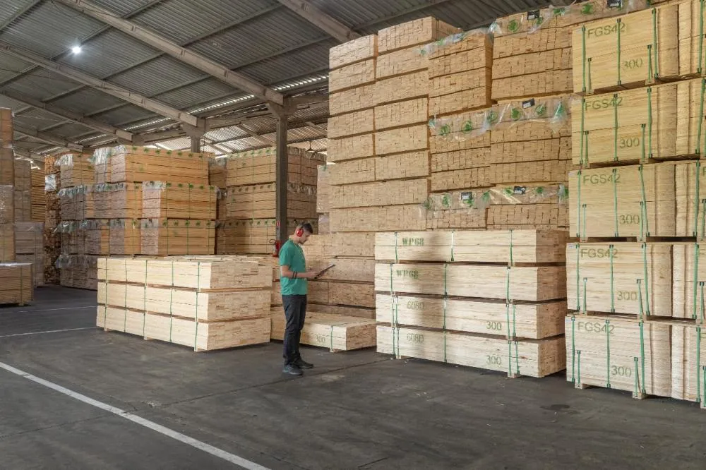 Balanço das exportações do setor florestal paranaense em 2025 demonstra impacto causado pelo tarifaço
