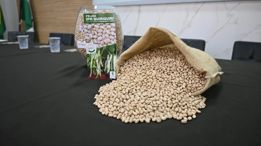 Lançamento do feijão IPR Quiriquiri reúne produtores e pesquisadores em Ponta Grossa Crédito da Foto: Toninho Anhaia