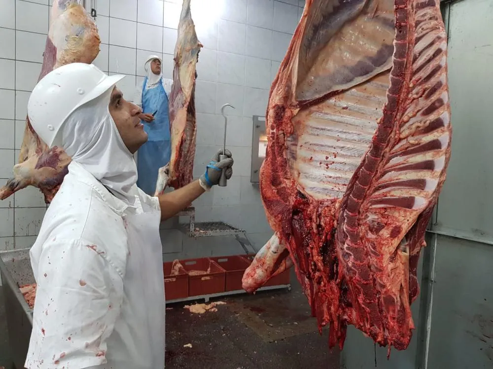 Exportação de carne bovina com osso ao Chile reforça a credibilidade sanitária no Rio Grande do Sul. Foto: Arquivo/Afagro