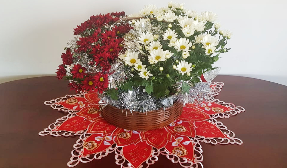 Os produtores aproveitam a época de festas para sugerir decorações naturais para o Natal e Réveillon. A Cooperativa Veiling Holambra vislumbra fechar 2020 com crescimento estimado entre 8 e 10% no faturamento geral, na comparação com 2019.